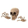 Dragon Crest Skeleton Wall Decor Set