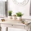 Accent Plus Ceramic Mini Planter Set - Ivory Round